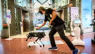 Tailandia: Perro robot distribuye gel para las manos en un centro comercial