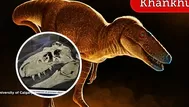 Tiranosaurio rex: Fósil olvidado y su posible origen en Asia