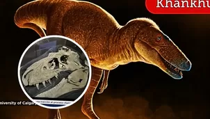 Foto y video: Canal N