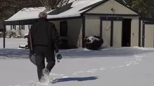 Foto y video: Canal N