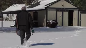 Foto y video: Canal N