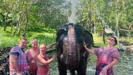 Turista murió tras ataque de elefante en Tailandia