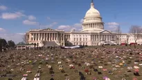 Washington: miles de zapatos en para exigir control de armas. Video: AFP