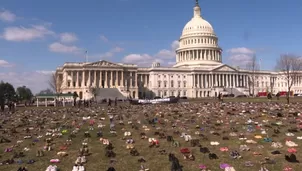 Washington: miles de zapatos en para exigir control de armas. Video: AFP