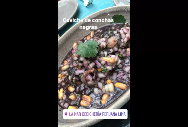 Julián Gil en Perú