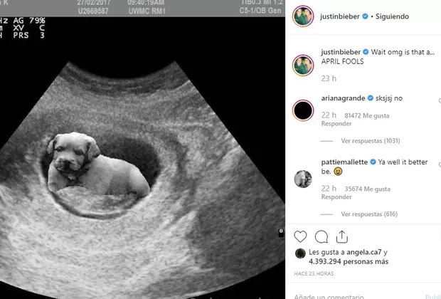 Justin Bieber embarazo Hailey Baldwin