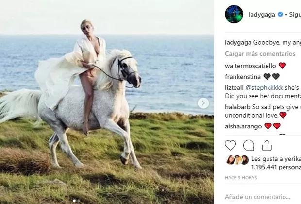 Lady Gaga yegua 