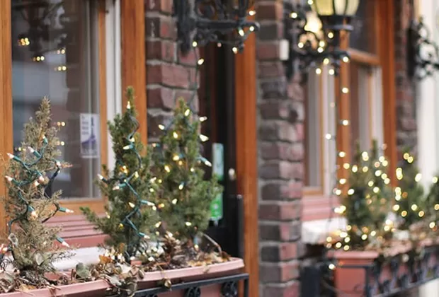 luces navideñas jardin