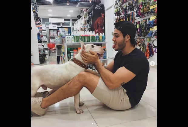 Mario Irivarren consiguió hogar para el perro que encontró en la Panamericana Sur