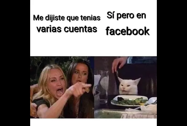 “Me dijiste que…”: este es el origen del popular meme de la mujer y el gato