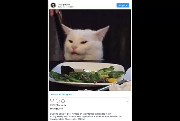“Me dijiste que…”: este es el origen del popular meme de la mujer y el gato