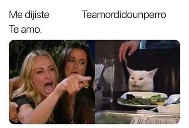 “Me dijiste que…”: este es el origen del popular meme de la mujer y el gato