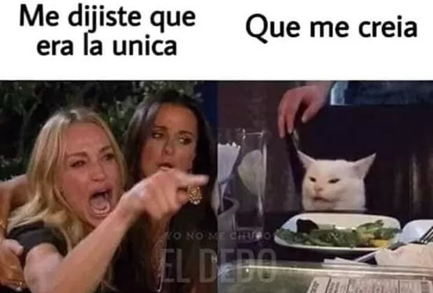 “Me dijiste que…”: este es el origen del popular meme de la mujer y el gato