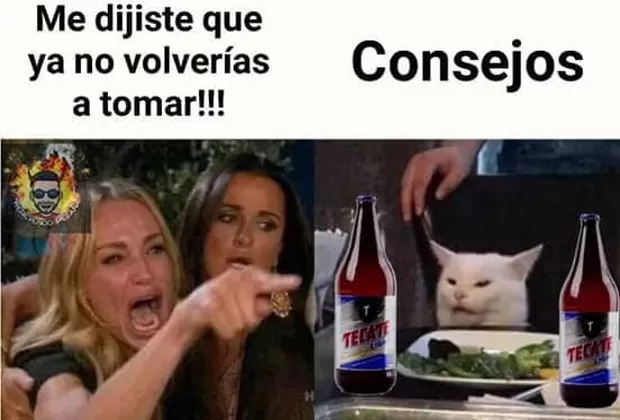“Me dijiste que…”: este es el origen del popular meme de la mujer y el gato