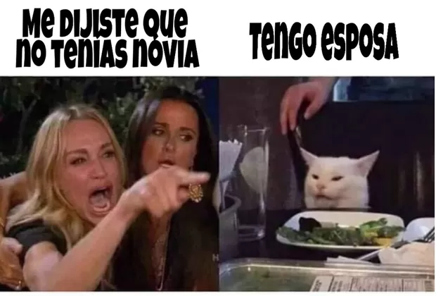 “Me dijiste que…”: este es el origen del popular meme de la mujer y el gato