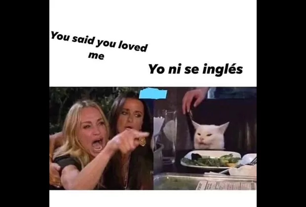 “Me dijiste que…”: este es el origen del popular meme de la mujer y el gato