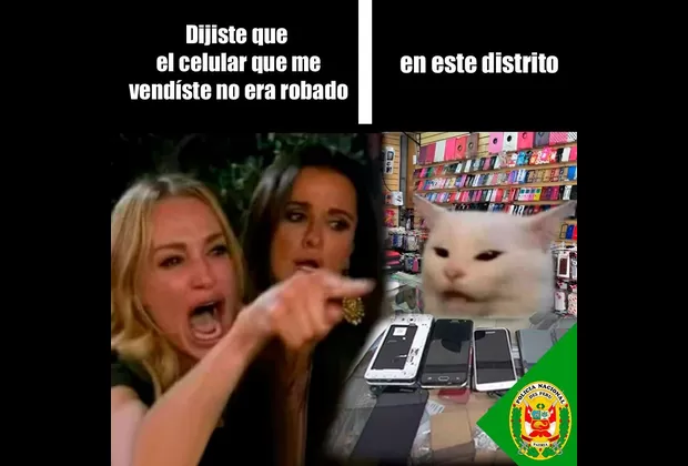 “Me dijiste que…”: este es el origen del popular meme de la mujer y el gato