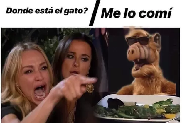 “Me dijiste que…”: este es el origen del popular meme de la mujer y el gato