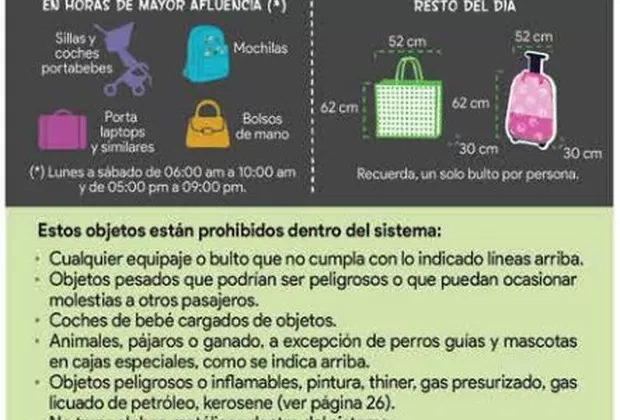 Metro de Lima: trabajador impide que escolar ingrese con su instrumento musical