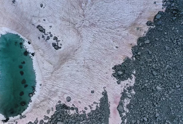 Los peligrosos efectos de la nieve rosa que apareció en Italia
