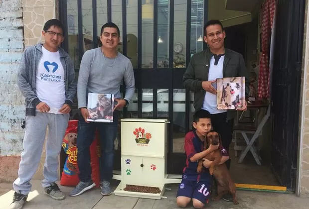 Dispensador de comida para perros en Lima