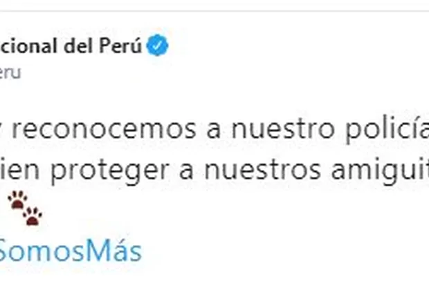 PNP felicita a suboficial por ayudar a perros callejeros a cruzar la pista