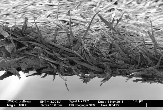 ¿Por qué duele tanto cortarse con papel? Esta imagen te lo muestra