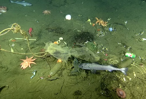 ¿Por qué están apareciendo cráteres en el Oceáno Pacífico?