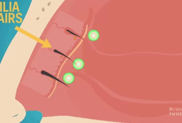 ¿Te arrancas los pelos de la nariz? Tu vida puede estar en peligro