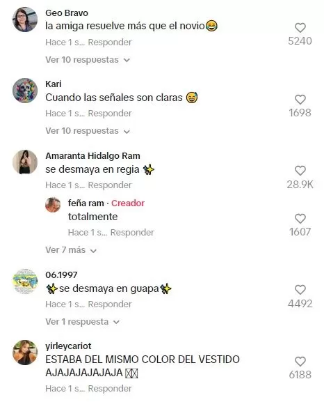 Los usuarios no dejaron de comentar el inusual incidente / TikTok