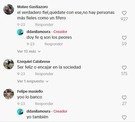 Comentarios en TikTok