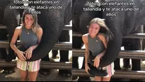 El elefante lanzó a la joven al piso / TikTok: @juliacandela5