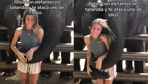 El elefante lanzó a la joven al piso / TikTok: @juliacandela5