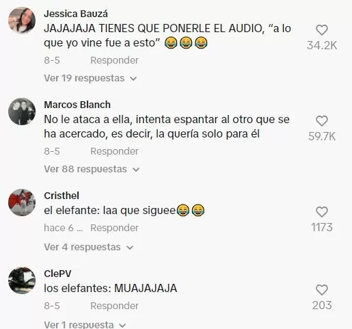 Comentarios en TikTok 