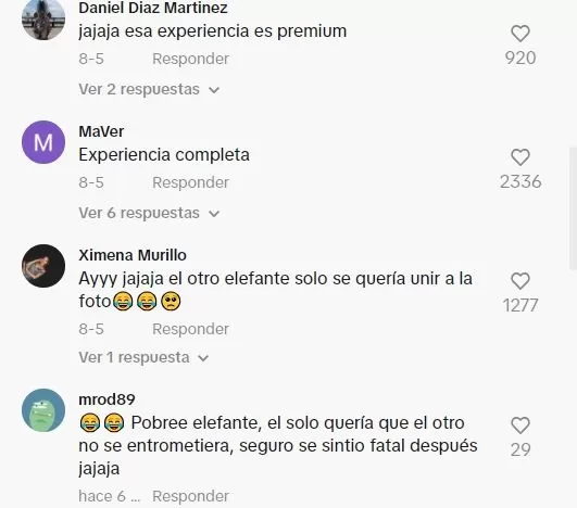 Comentarios en TikTok