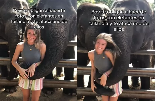 El elefante lanzó a la joven al piso / TikTok: @juliacandela5