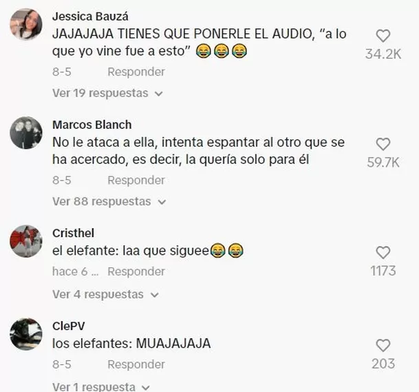 Comentarios en TikTok 