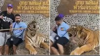 Turistas posaron para la foto junto a un tigre, pero todo salió mal / Video: Canal N