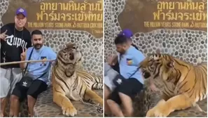 Turistas posaron para la foto junto a un tigre, pero todo salió mal / Video: Canal N