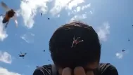 El aterrador video de una pareja de turistas que fue atacada por abejas ‘gigantes’