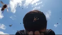 Abejas gigantes atacaron a pareja de turistas / Video: The Buddymoon