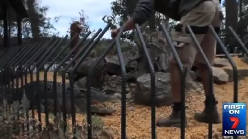 Australia: empleado logró escapar luego que cocodrilo lo atacó en zoológico