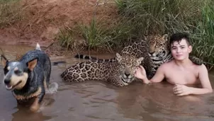 La imagen del ni&ntilde;o jugando con jaguares caus&oacute; sensaci&oacute;n en las redes sociales, en donde r&aacute;pidamente se hizo viral. (Foto: Captura/Video: Canal N)