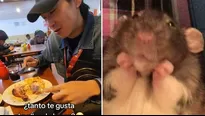 Coreano revela que ama el pollo a la brasa. Video: Tiktok (@elcopenio)