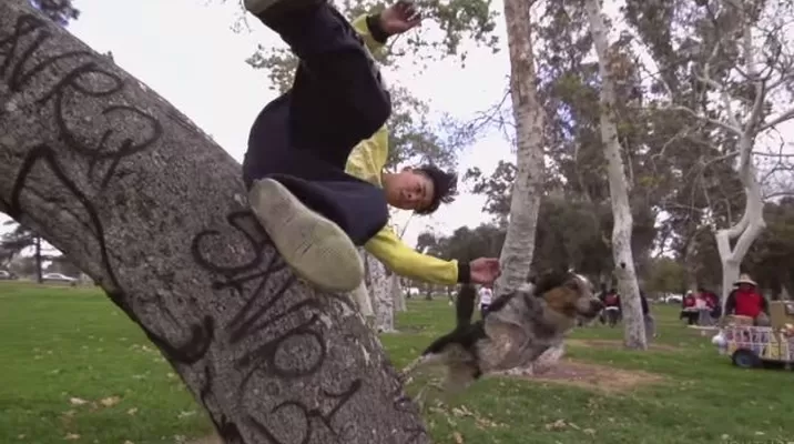 Un deportista de parkour y su perro demuestran que no hay límite para saltar y escalar Un deportista de parkour y su perro demuestran que no hay límite para saltar y escalar