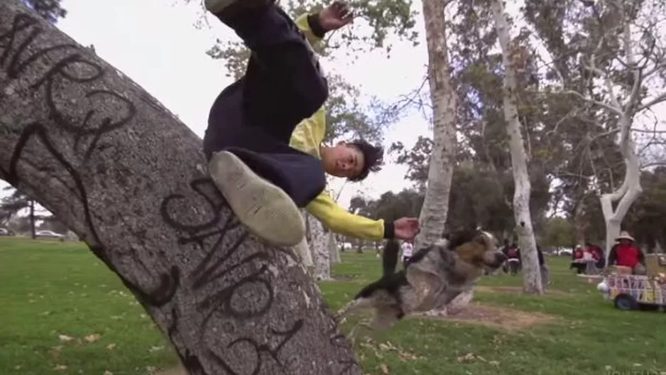 Un deportista de parkour y su perro demuestran que no hay límite para saltar y escalar