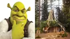 ¡Deveritas, deveritas! Ofrecen estancia de fin de semana en la casa de Shrek 