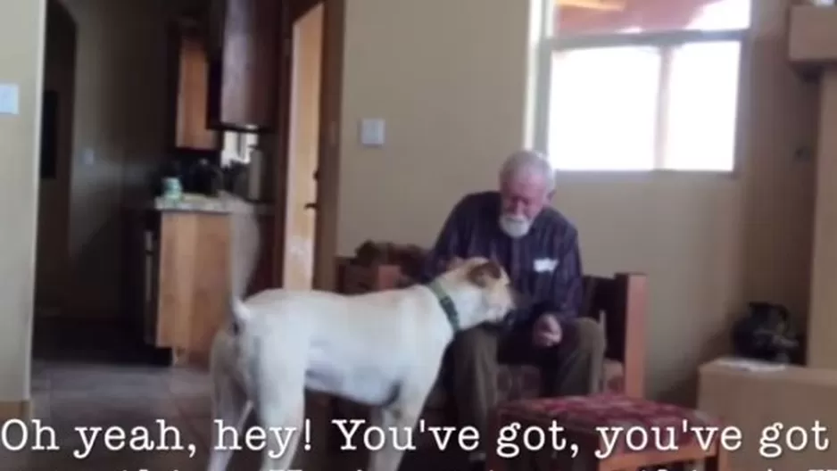 EE.UU.: Emotivo video de un perro que ayuda a hombre con Alzheimer