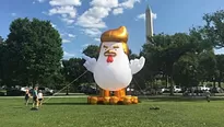 Globo de una gallina con cara de Trump. Video: Alfred rich