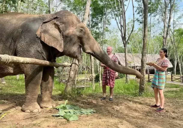 La tragedia ocurrió en un centro llamado ‘Koh Yao Elephant Care’ / Foto: Referencial 